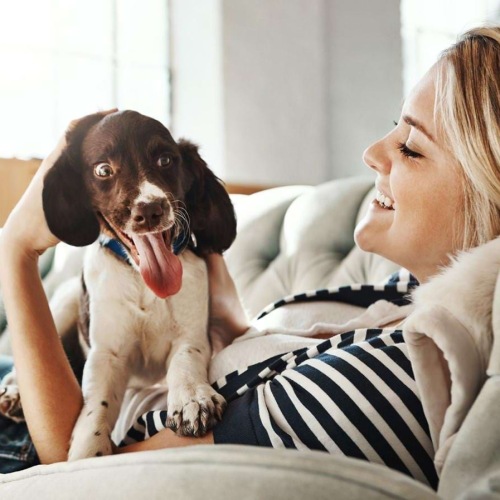 woman lies on a couch and pets her dog